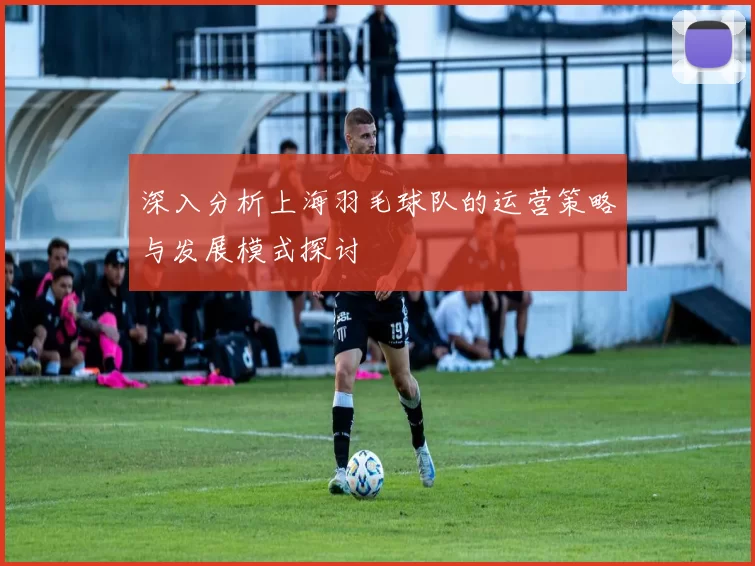 深入分析上海羽毛球队的运营策略与发展模式探讨