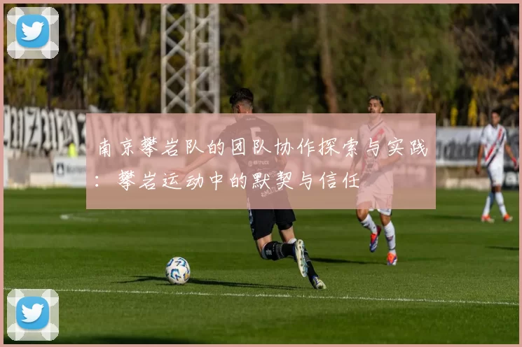 南京攀岩队的团队协作探索与实践：攀岩运动中的默契与信任