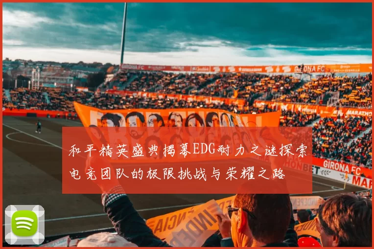 和平精英盛典揭幕EDG耐力之谜探索电竞团队的极限挑战与荣耀之路