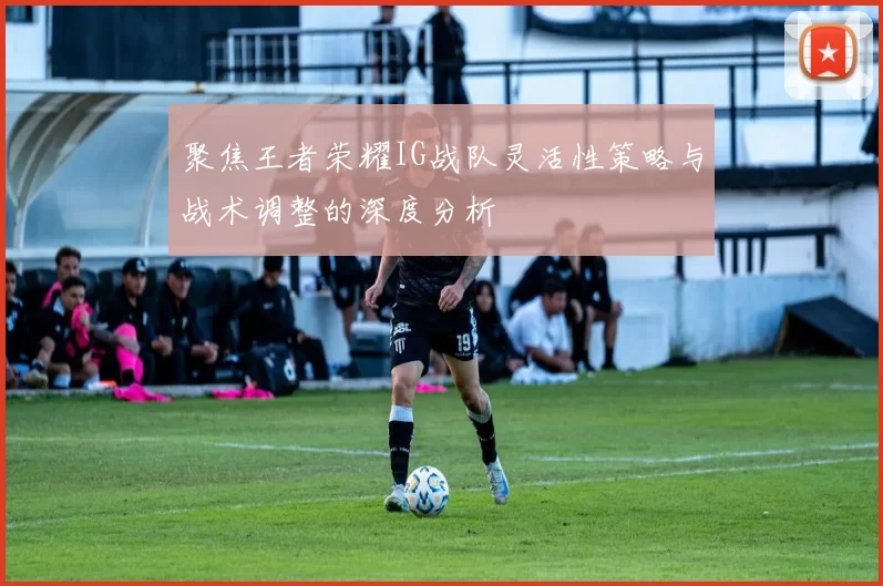 聚焦王者荣耀IG战队灵活性策略与战术调整的深度分析