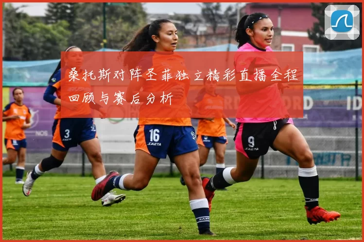 桑托斯对阵圣菲独立精彩直播全程回顾与赛后分析