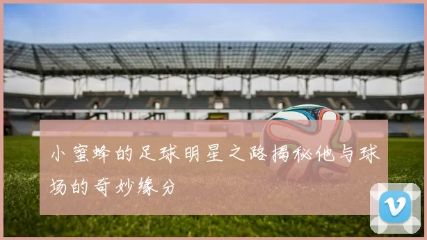 小蜜蜂的足球明星之路揭秘他与球场的奇妙缘分