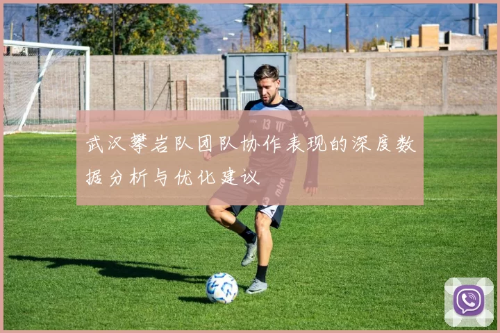 武汉攀岩队团队协作表现的深度数据分析与优化建议