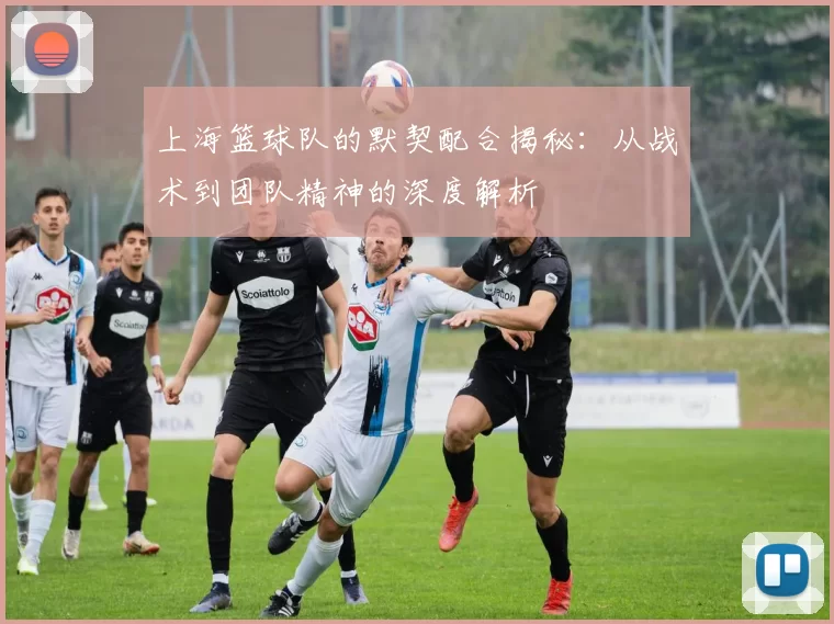 上海篮球队的默契配合揭秘：从战术到团队精神的深度解析