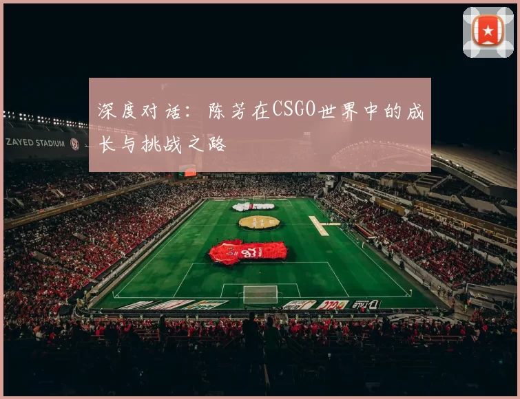 深度对话：陈芳在CSGO世界中的成长与挑战之路