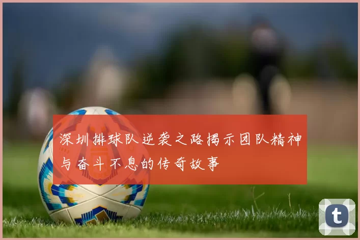 深圳排球队逆袭之路揭示团队精神与奋斗不息的传奇故事