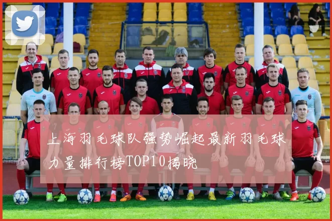 上海羽毛球队强势崛起最新羽毛球力量排行榜TOP10揭晓