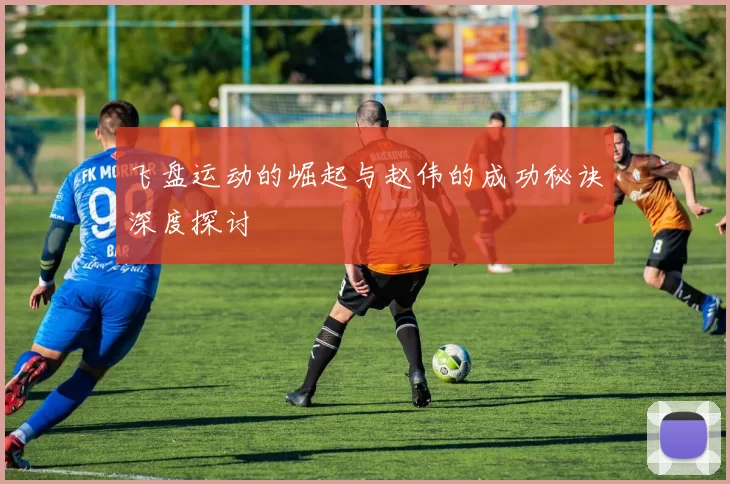 飞盘运动的崛起与赵伟的成功秘诀深度探讨