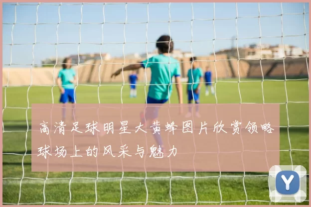 高清足球明星大黄蜂图片欣赏领略球场上的风采与魅力