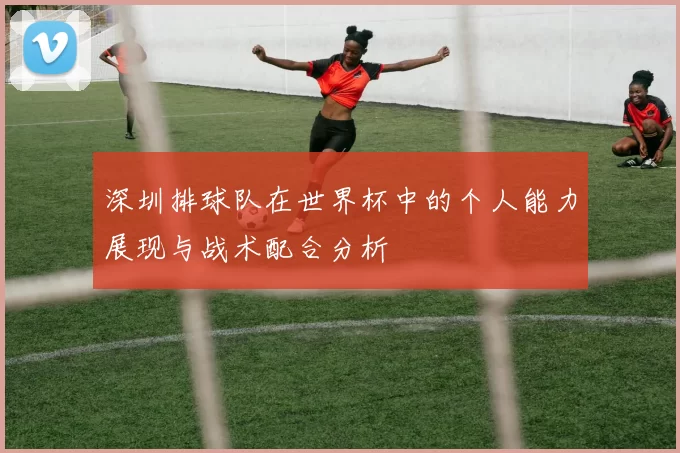 深圳排球队在世界杯中的个人能力展现与战术配合分析