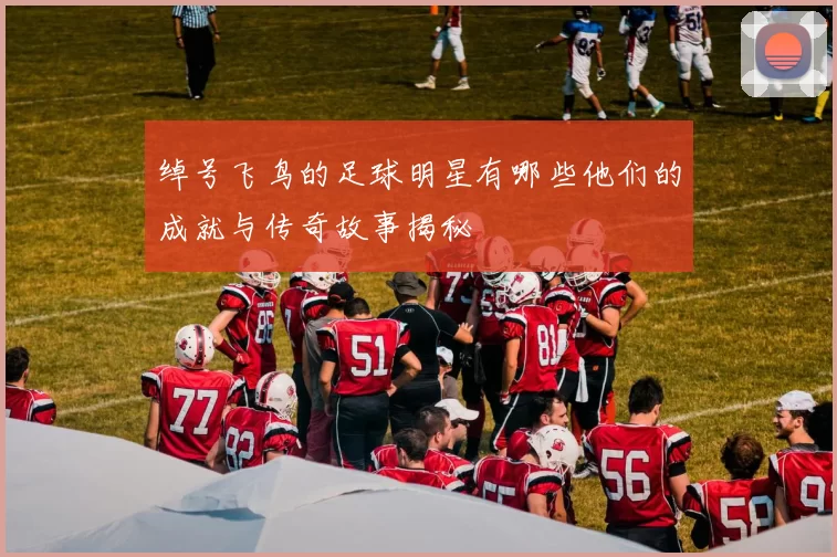 绰号飞鸟的足球明星有哪些他们的成就与传奇故事揭秘