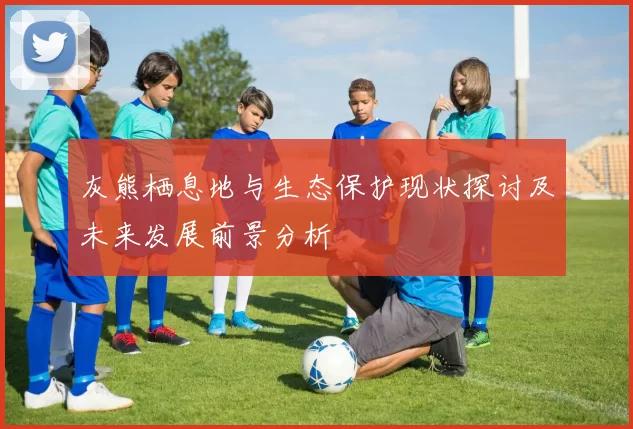 灰熊栖息地与生态保护现状探讨及未来发展前景分析