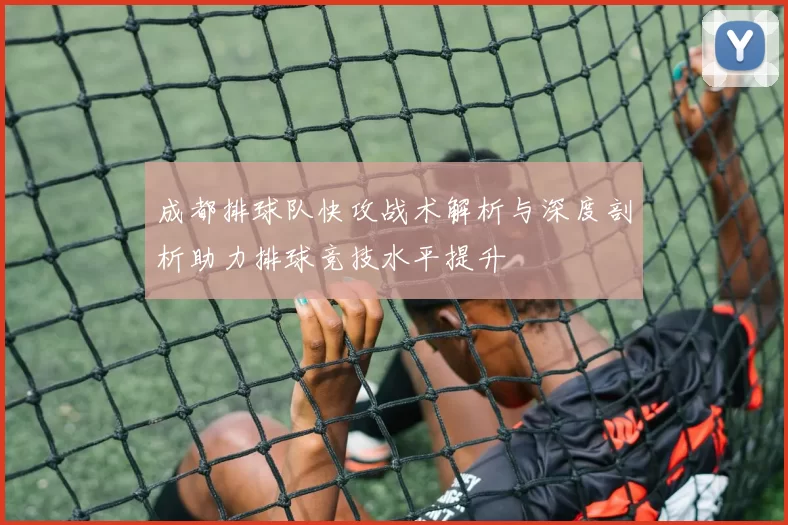 成都排球队快攻战术解析与深度剖析助力排球竞技水平提升