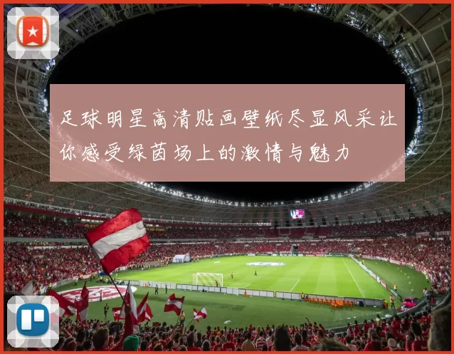 足球明星高清贴画壁纸尽显风采让你感受绿茵场上的激情与魅力