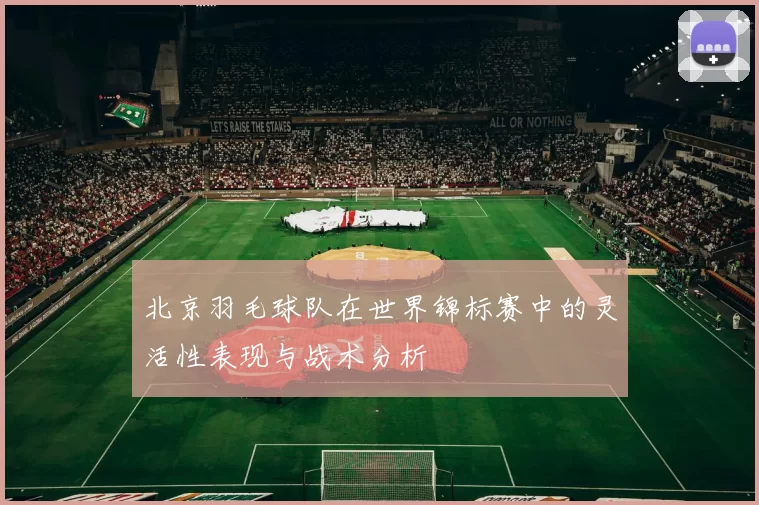 北京羽毛球队在世界锦标赛中的灵活性表现与战术分析