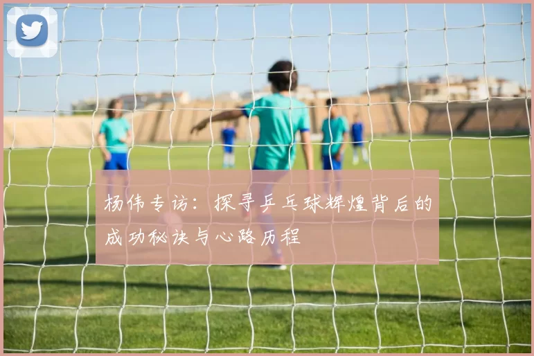 杨伟专访：探寻乒乓球辉煌背后的成功秘诀与心路历程